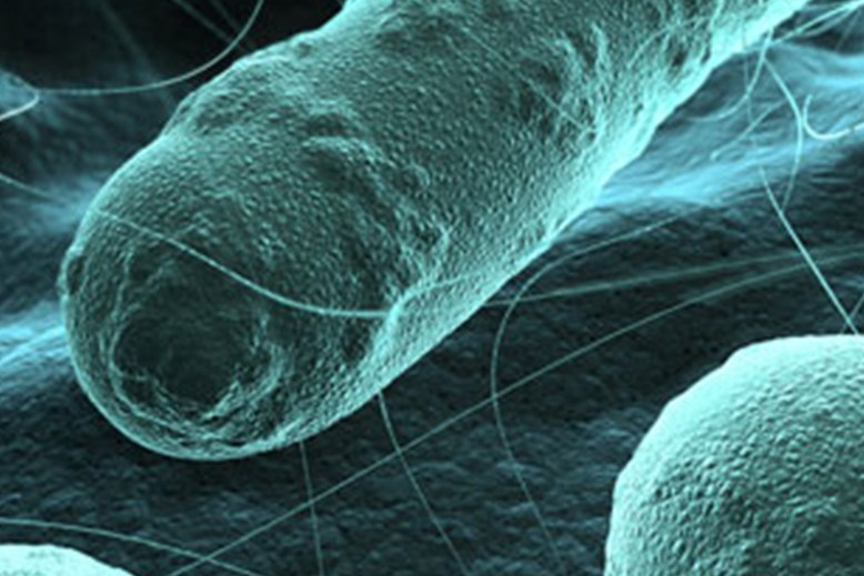 Preprečujemo Iin zdravimo nalezljive bolezni