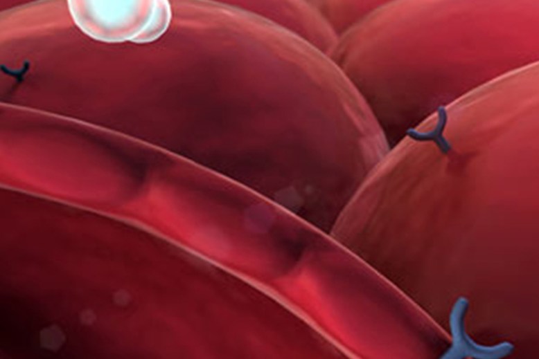 Pomagamo izboljšati življenja bolnikov s sladkorno boleznijo