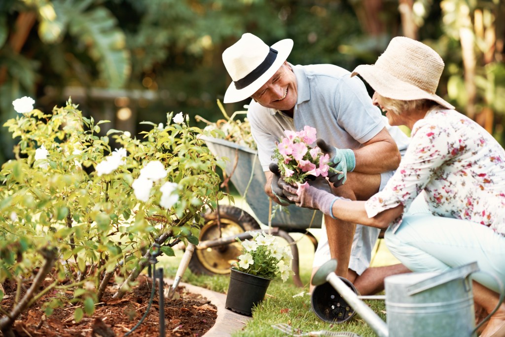 Shot of a smiling senior couple gardening in their yard